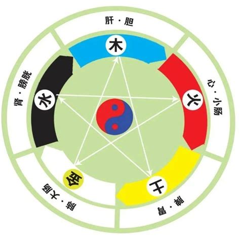 五行学|五行